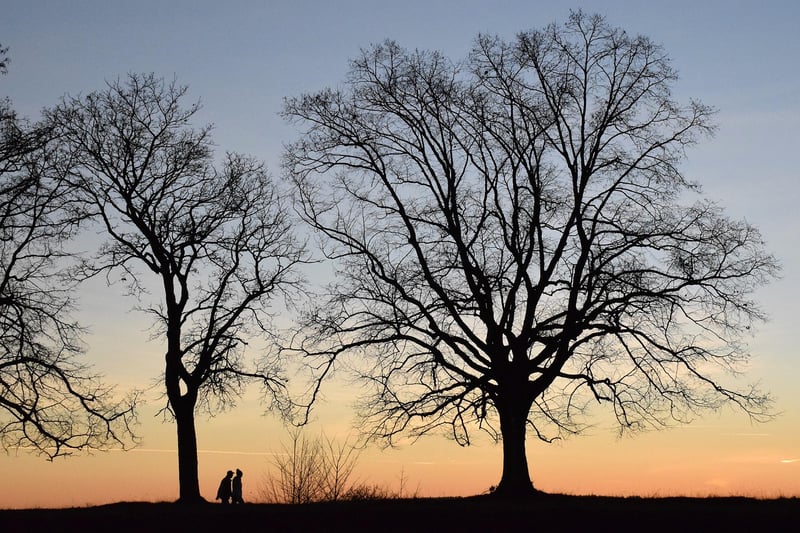 Romantic Silhouettes